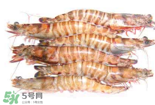 九節(jié)蝦是海蝦嗎？九節(jié)蝦是海蝦還是河蝦