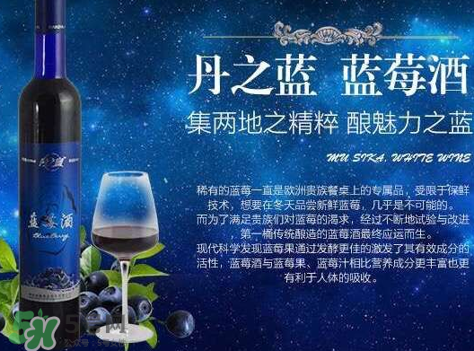 藍(lán)莓酒多少錢一瓶？藍(lán)莓王酒多少錢一瓶？