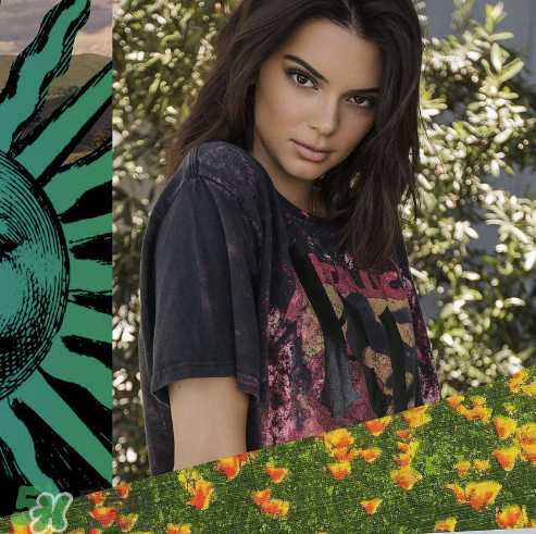 kendall kylie2017復古系列短袖t恤怎么樣_好看嗎_款式有哪些？