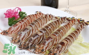 九節(jié)蝦多少錢一斤？九節(jié)蝦跟基圍蝦是一個品種嗎