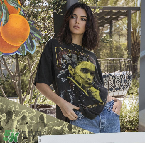 kendall kylie2017復古系列短袖t恤怎么樣_好看嗎_款式有哪些？