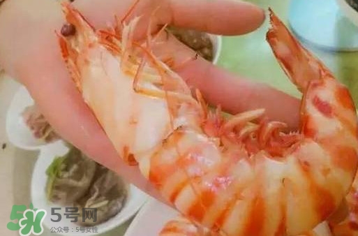 九節(jié)蝦是海蝦嗎？九節(jié)蝦是海蝦還是河蝦