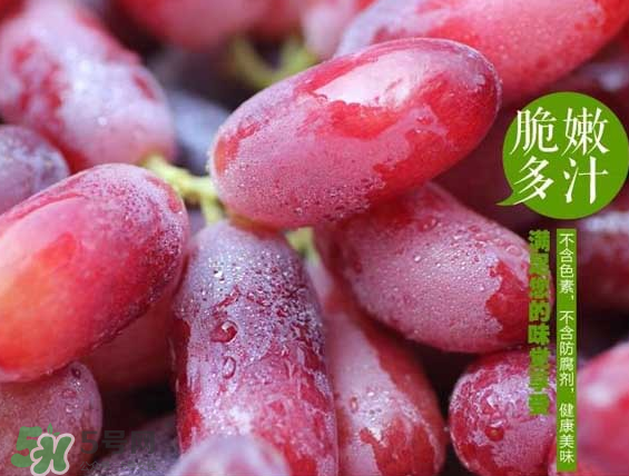 無籽紅提有涂避孕藥嗎？無籽紅提是轉(zhuǎn)基因嗎？