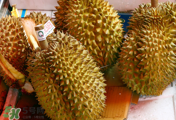 托曼尼榴蓮怎么才是熟？托曼尼榴蓮怎么看生熟？