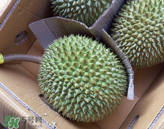 干堯榴蓮怎么樣算熟了？干堯榴蓮怎么挑選？
