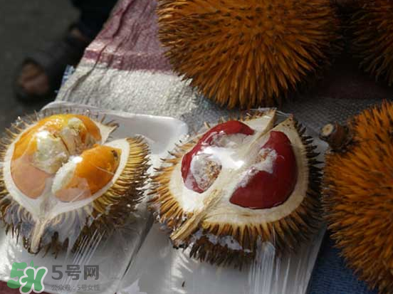 榴蓮核可以煲湯嗎？榴蓮核可以煲雞湯嗎？