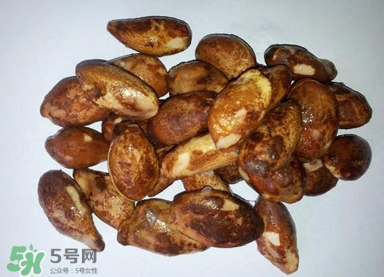 榴蓮核可以煲湯嗎？榴蓮核可以煲雞湯嗎？