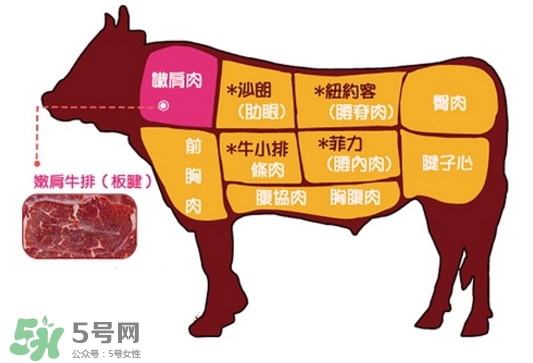 牛排是牛的哪個部位？牛排是牛身上哪塊肉？