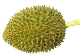 托曼尼榴蓮多少錢？托曼尼榴蓮是哪里的？