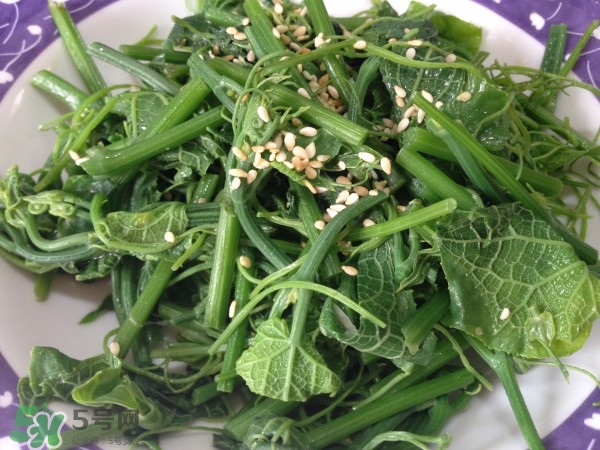 龍須菜怎么清洗？龍須菜怎么處理？