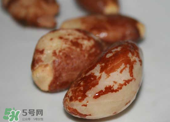 榴蓮核可以煲湯嗎？榴蓮核可以煲雞湯嗎？