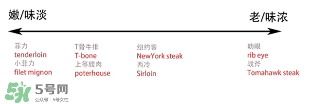 牛排是牛的哪個部位？牛排是牛身上哪塊肉？