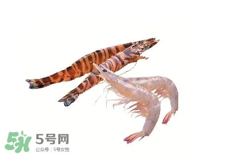 如何區(qū)分基圍蝦和竹節(jié)蝦？竹節(jié)蝦和基圍蝦的區(qū)別