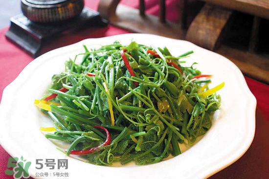 龍須菜是什么菜？龍須菜怎么吃？