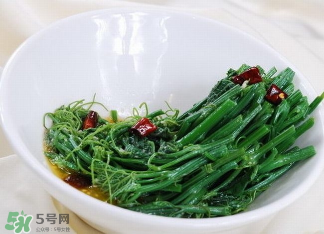 龍須菜是什么菜？龍須菜怎么吃？