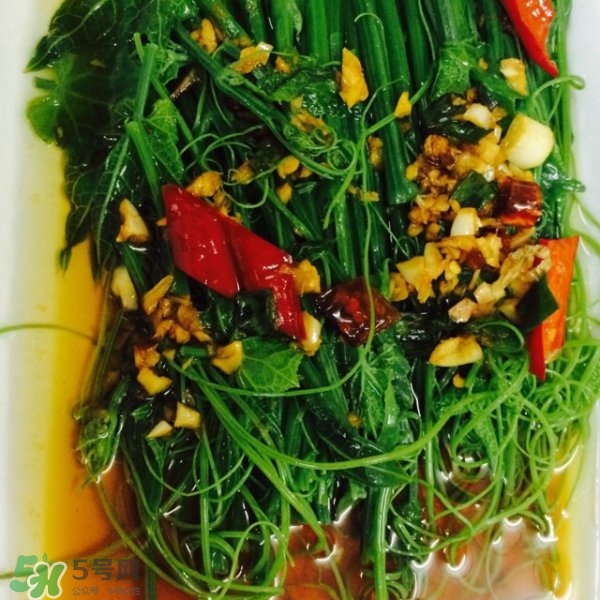 龍須菜怎么清洗？龍須菜怎么處理？