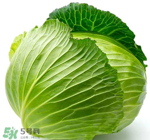 8月份吃什么蔬菜？八月份適合吃什么蔬菜？