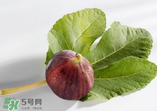 無花果葉子煮水有什么作用？無花果葉泡水喝的功效