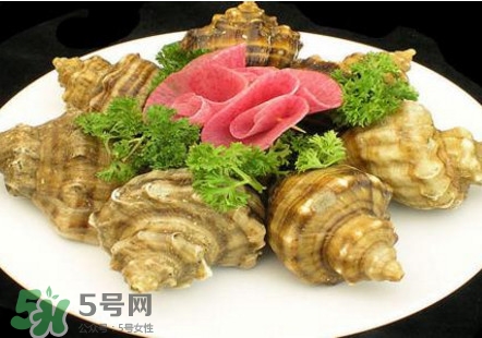 海螺可以冷凍嗎？海螺放冰箱能保存多久