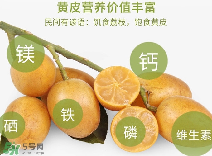 黃皮果是小金橘嗎？黃皮果和小金橘的區(qū)別
