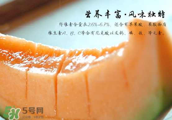 西州蜜瓜什么季節(jié)熟？西州蜜瓜幾月份成熟？
