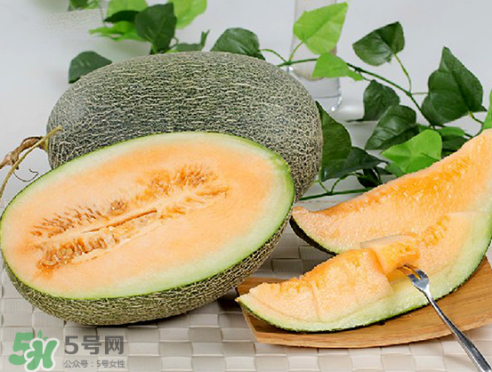西州蜜瓜什么季節(jié)熟？西州蜜瓜幾月份成熟？