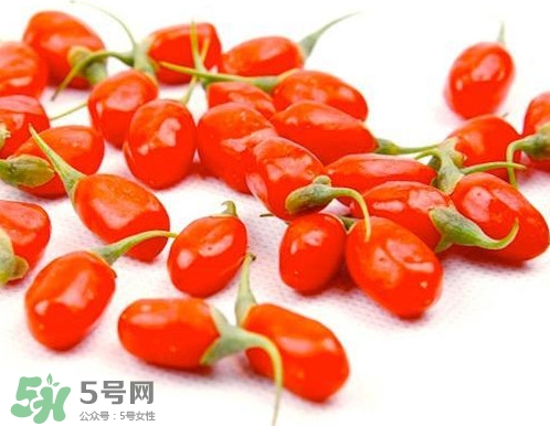 枸杞鮮果能吃嗎？鮮枸杞好還是干枸杞好