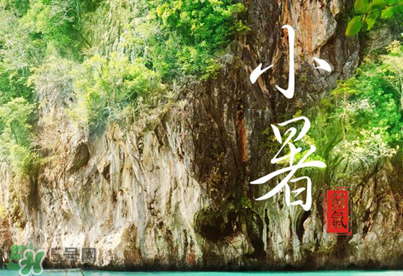 小暑是入伏嗎？小暑是不是入伏？