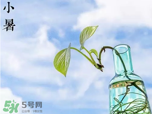 小暑是頭伏嗎？小暑是初伏嗎？