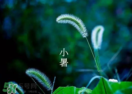 小暑是頭伏嗎？小暑是初伏嗎？