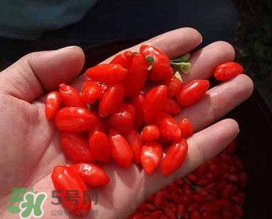 枸杞鮮果屬水果嗎？枸杞鮮果什么味道