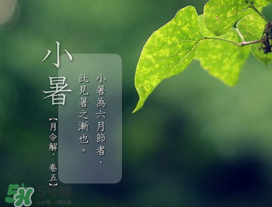2017年小暑會下雨嗎？小暑這一天下雨好嗎？