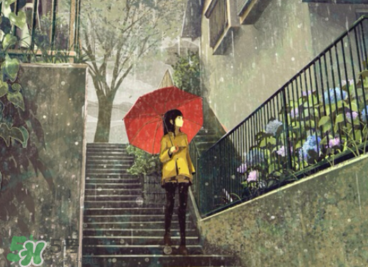 2017年小暑會下雨嗎？小暑這一天下雨好嗎？