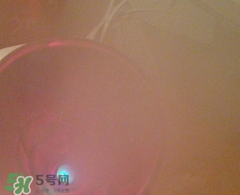 松下蒸臉器和金稻哪個(gè)好？松下蒸臉器和金稻蒸臉器對(duì)比