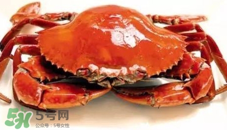 石夾紅螃蟹什么時候有？石夾紅螃蟹什么時候最肥