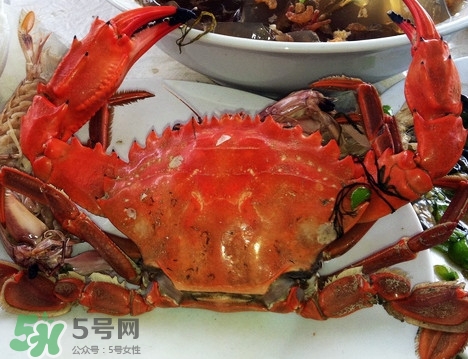 石夾紅螃蟹怎么吃？石夾紅螃蟹煮多久