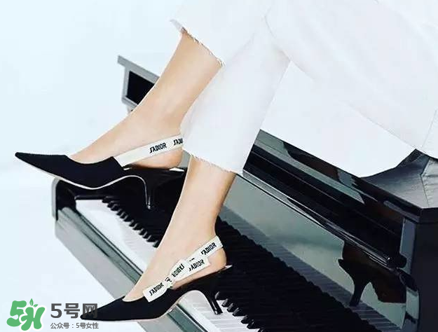 dior貓跟鞋多少錢(qián)？dior貓跟鞋價(jià)格