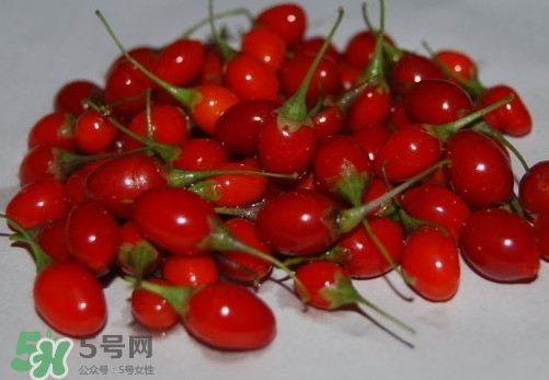 枸杞鮮果怎么吃？吃枸杞鮮果有什么好處