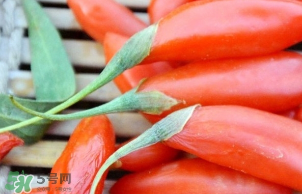 青海和寧夏枸杞哪個好？青海枸杞和寧夏枸杞的區(qū)別