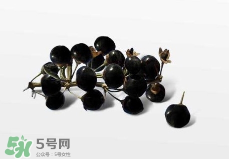 新鮮枸杞多少錢(qián)一斤？2017枸杞鮮果價(jià)格