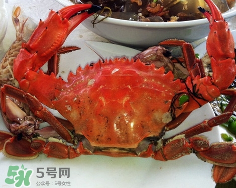 石夾紅螃蟹什么時候有？石夾紅螃蟹什么時候最肥