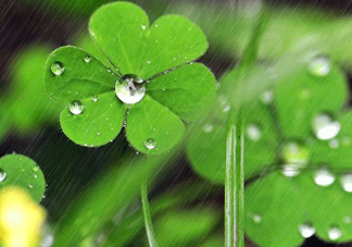2017年小暑會下雨嗎？小暑這一天下雨好嗎？