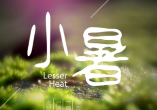 小暑是頭伏嗎？小暑是初伏嗎？