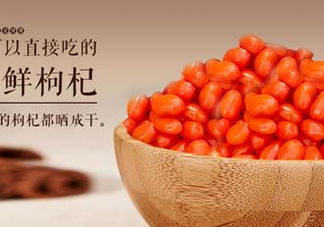 枸杞鮮果能吃嗎？鮮枸杞好還是干枸杞好
