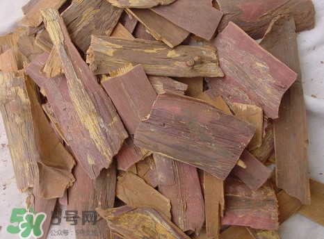 紅豆杉樹(shù)皮多少錢一斤？2017紅豆杉市場(chǎng)價(jià)