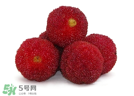 新鮮楊梅怎么保存得更長時間？新鮮楊梅能保存幾天？