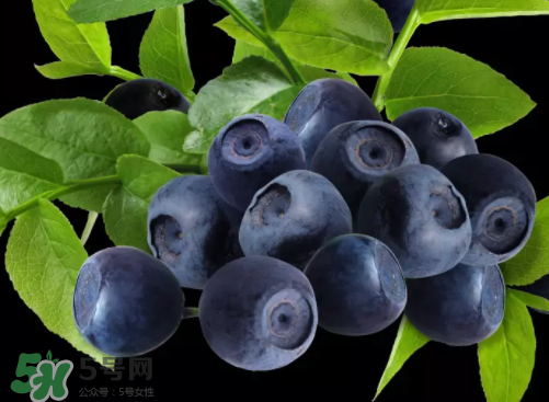 新鮮藍莓可以直接吃嗎？新鮮藍莓怎么吃才好吃？