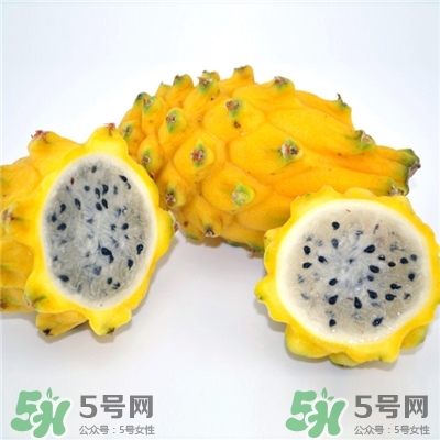 麒麟果是哪里產的?麒麟果和火龍果的區(qū)別