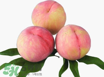 脆桃有什么營(yíng)養(yǎng)？脆桃的營(yíng)養(yǎng)價(jià)值