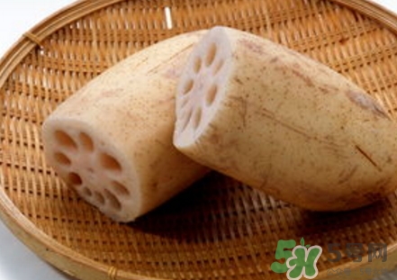 紅蓮藕和白蓮藕哪個(gè)好？紅蓮藕和白蓮藕區(qū)別